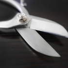 Gardening Scissors (