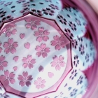Suna-Kiriko Glassware: Sakura Saku (Blooming Sakura), Sake Glass 115ml, GLASS-LAB 